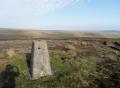 the trig