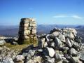 Trig - front