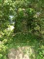 Trigpoint