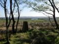 Drove up farm track parked around corner stile into field track up through wood 