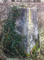 The Trig