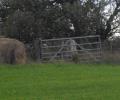 trig in use as gate-stop