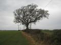 Keythorpe TP