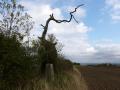 Sandiacre pillar