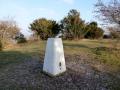 trig