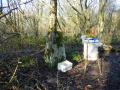 Dukes Wood