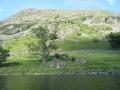 view from lake