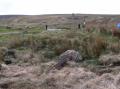 Toppled/Moved Widdop