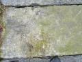 The rivet in the breakwater wall