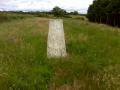 Trig