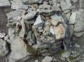 Trig remains