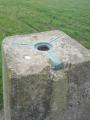 The trig