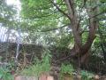 Tannery Chimney