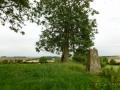 Leafield Clump pillar