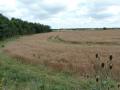 Driffield West