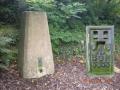 Pillar & FB 
