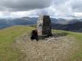 Trig + Surrounds