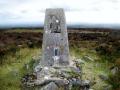 Trig + Surrounds