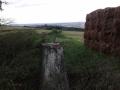 Trig and the hay bale stack