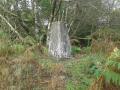 Trellech October 2012