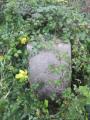 Trigpoint