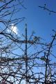 New Wenvoe TV Mast