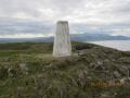 The Pillar