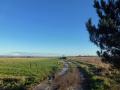 View to the Humber Bridge