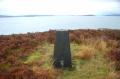 The trig itself