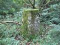 Pillar