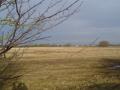 View from bolt looking towards runway.