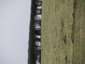 The trigpoint, from the byway.