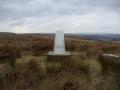 Rushy Hill.