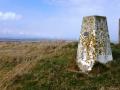 Buckton Cliffs