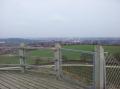 The view