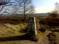 The trig