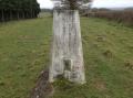 The Trig
