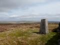 Looking to booze moor