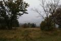 'View' NE