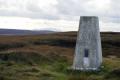 10583 - Pillar