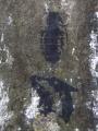 'Dog and grenade� stencilled graffiti on the pillar