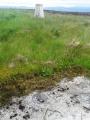 Survey bolt location
