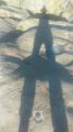 Riveting silhouette