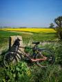 Trig with my bike