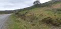Was somewhere around here