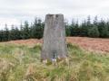 Wood Fell