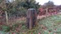 Tittesworth Farm Trig Point