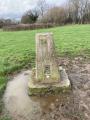 Newton Hall Farm trig