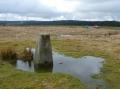 Trig Point