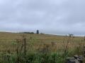 View from path in adjacent field at gap in fence